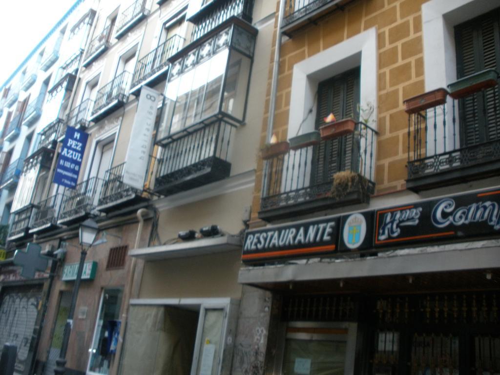 Hostal Del Pez Azul Madrid Extérieur photo